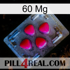 60 Mg 13